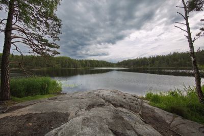 Tyresta Nationalpark