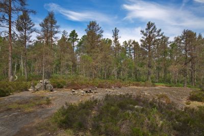 Nationalpark Tresticklan