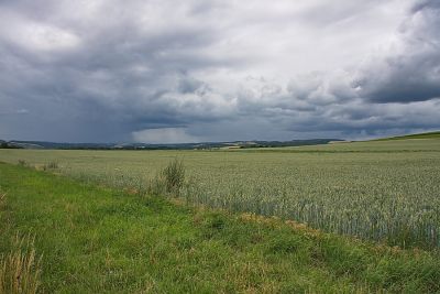 Vor Monzingen
