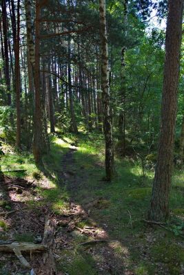 Naturreservat Nötön Aspergarden