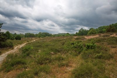 Stenshuvuds Nationalpark