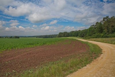 Zwischen Ansbach und Colmberg