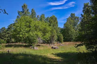 Naturreservat Nötön Aspergarden