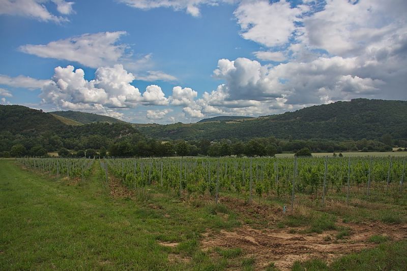 Das Nahetal bei Disibodenberg