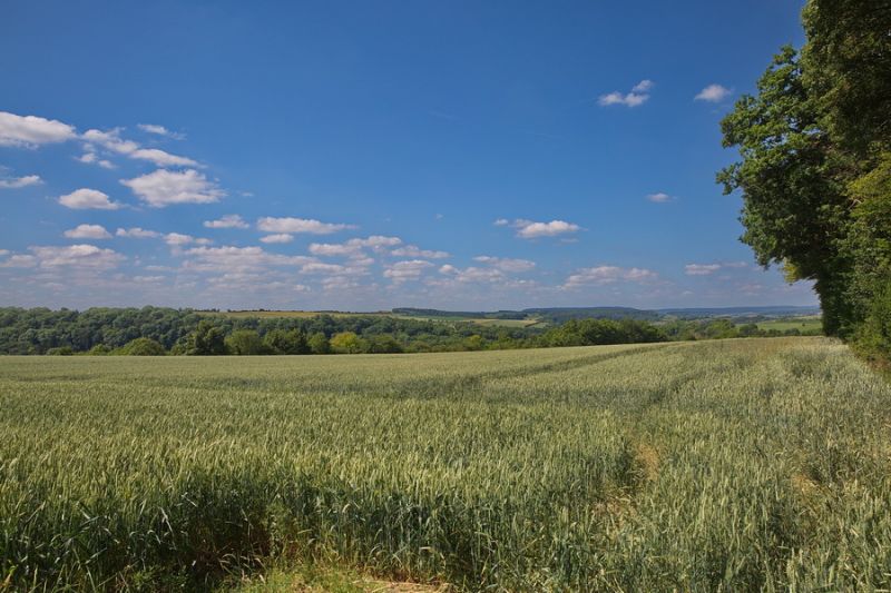 Rund um Manternach