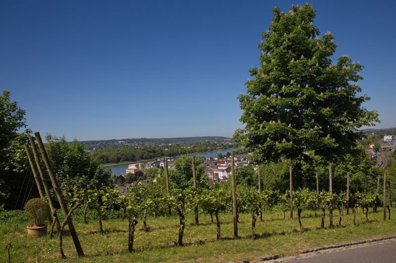 Abstieg vom Drachenfelsen