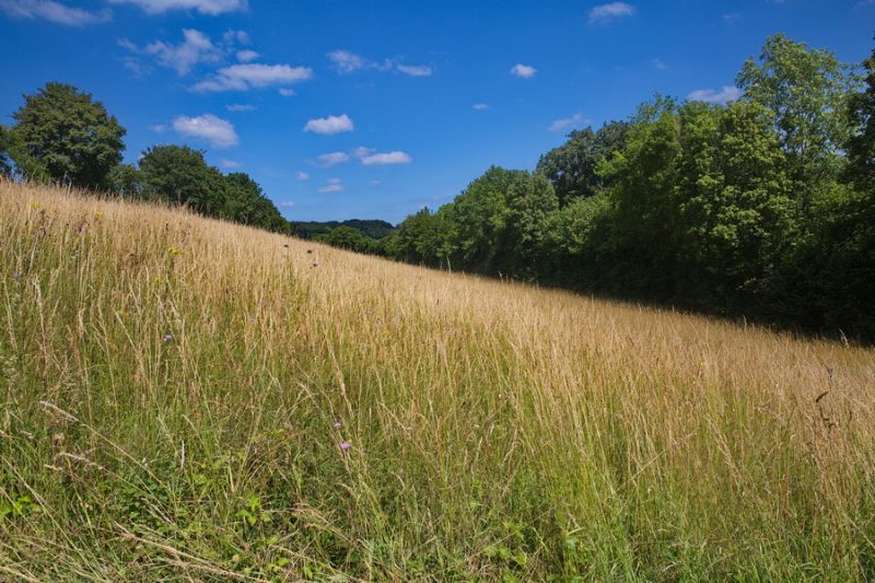 Rund um Manternach
