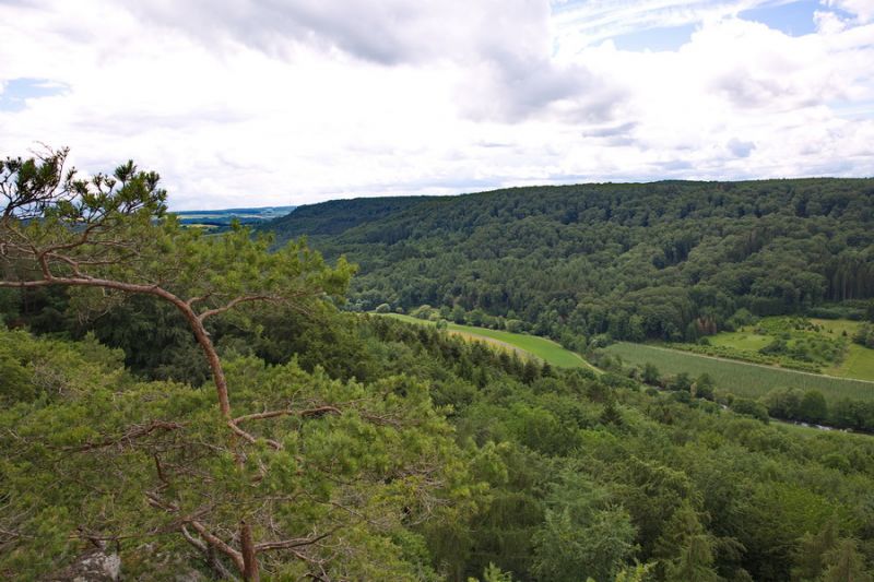 Der Felsenweg 5