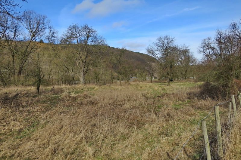 Zwischen Rech und Dernau