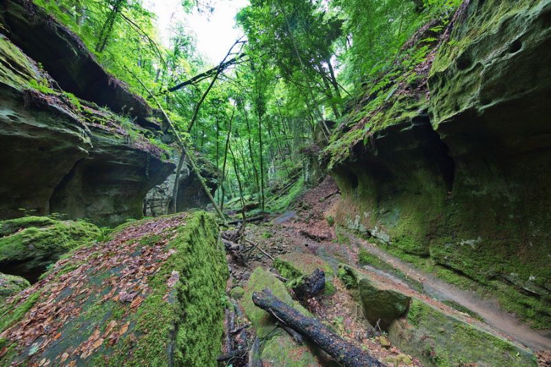 Rund um Berdorf