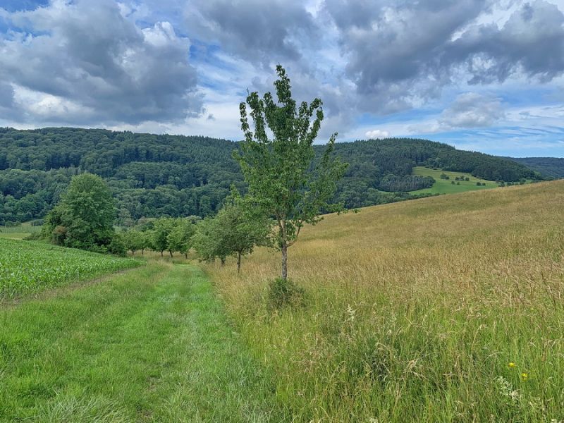 Rund um Holsthum