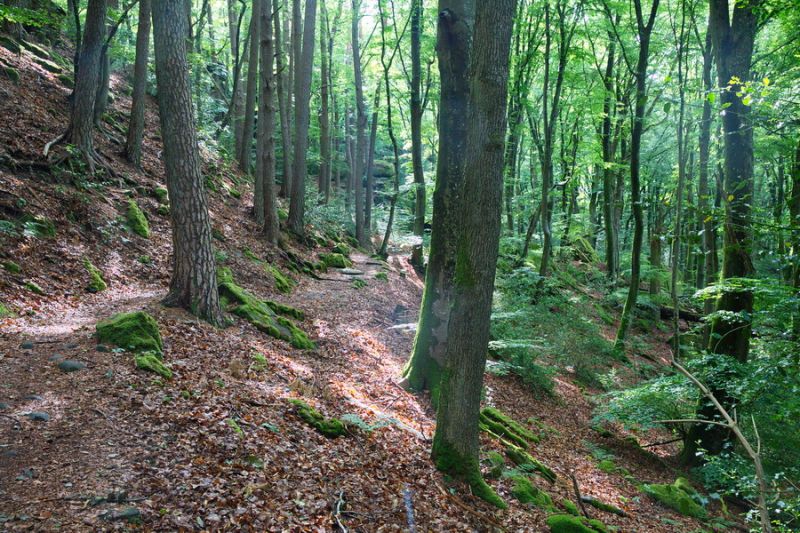 Rund um Berdorf
