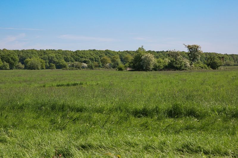 Zwischen Venushügel und Bad Godesberg