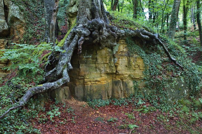 Der Felsenweg 5