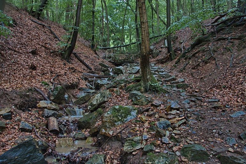 Die Stromberger Klamm