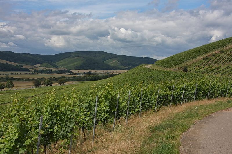 Weinberge am Nahetal