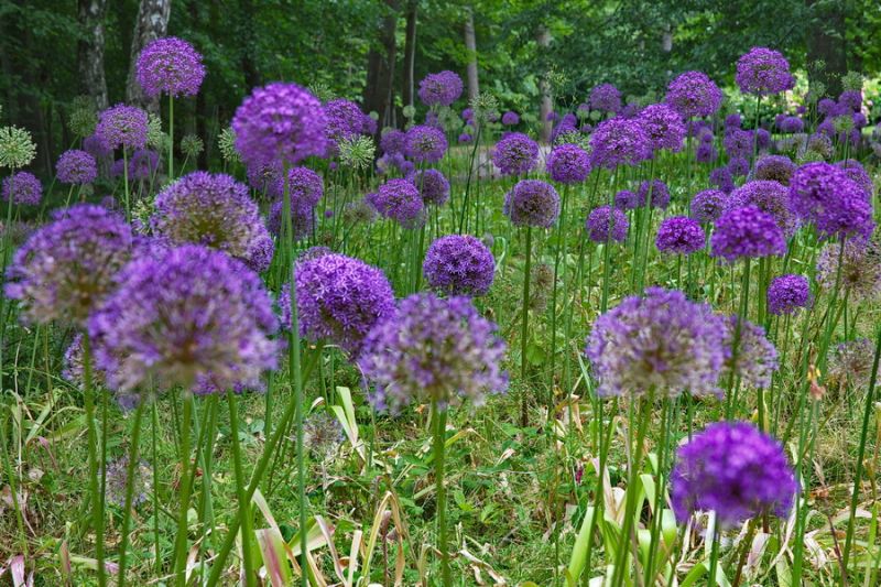 In den Gärten von Solliden-Schloß