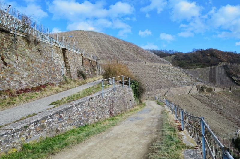 Weinberge bei Dernau
