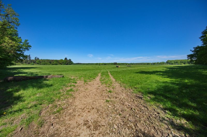 Zwischen Venushügel und Bad Godesberg