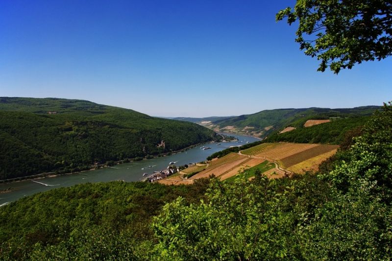 Blick auf Assmannshausen