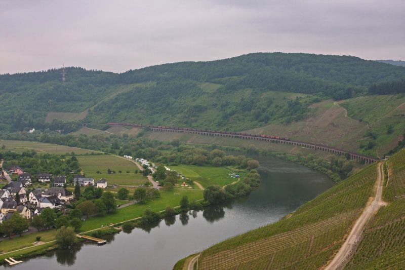 Mosel bei Pünderich