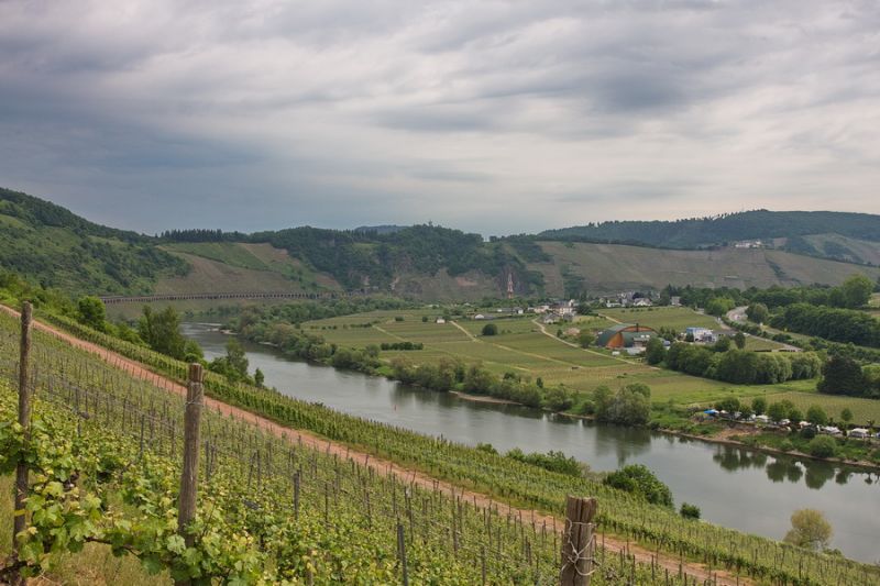 Blick nach Pünderich