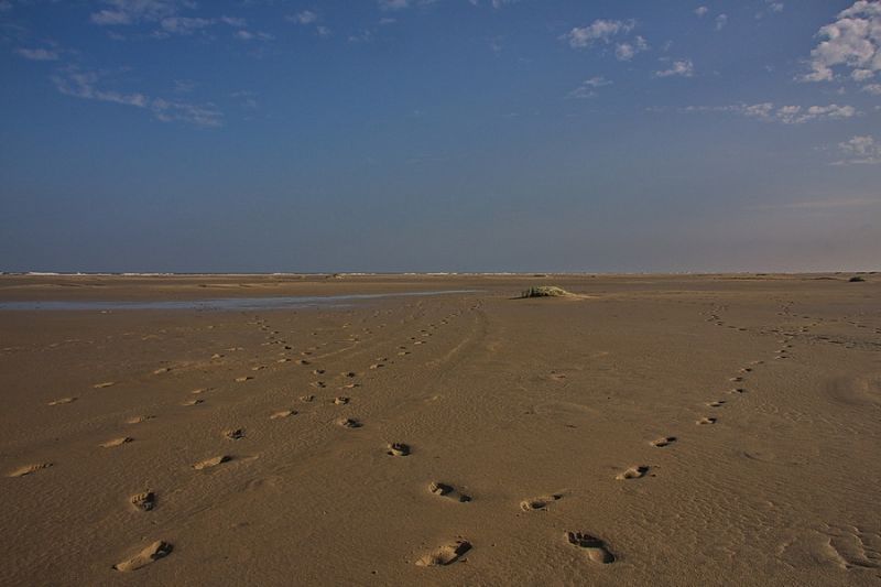 Spuren im Sand